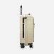 carry on luggage Beige